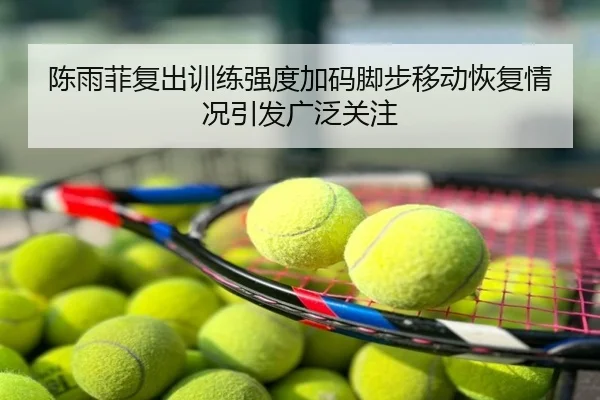 陈雨菲复出训练强度加码脚步移动恢复情况引发广泛关注